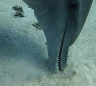 Muss mal was suchen...