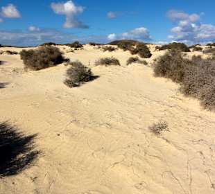 Impressionen aus der Dünenlandschaft