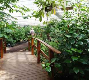 Rundgang durch den Jardin des Papillons