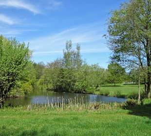 Eindrücke aus dem Walter-Peters-Park