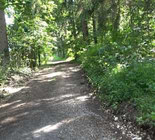 Premiumspazierweg Früchtetrauf-Leisawegle