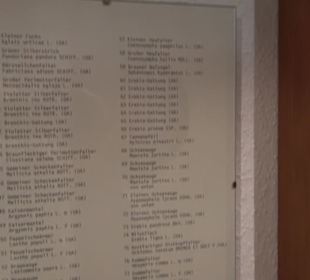 Heimatmuseum Oberstdorf