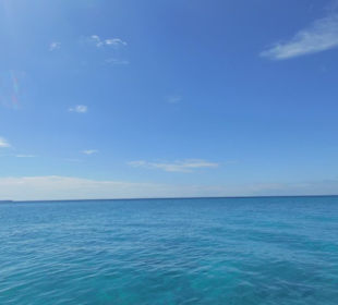 Bahia de las Aguilas