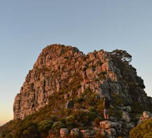 Lions Head
