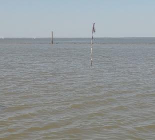 Wattenmeer Bensersiel Strand 