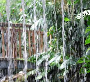 Wasserfall
