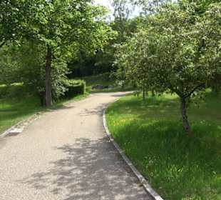 Friedhof Klosterreichenbach