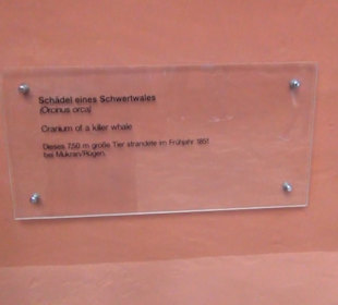 Meeresmuseum Stralsund