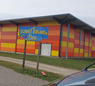 Schmetterlingsgarten