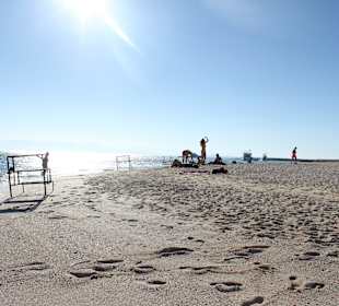 Schnorchel Boot´s Ausflug zu den Korallen