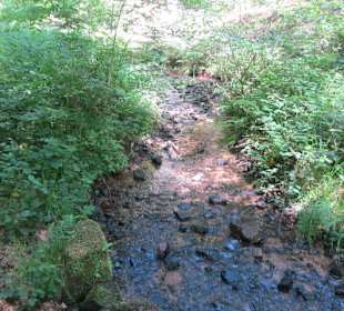 Auf dem Weg zum Hilschweiher