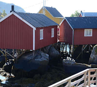 Ausflug auf den Lofoten
