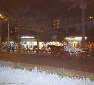 Kutsche an der Strandpromenade bei Nacht