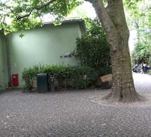 Tierpark Hellabrunn - Welt der Affen