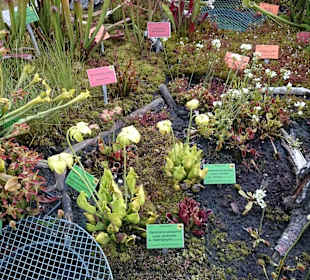 Uniwersytecki ogród botaniczny