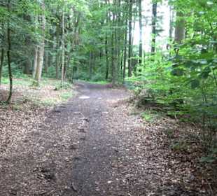 Wanderweg - Alter Steinbruch Pfaffenberg Runde