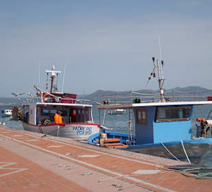 Hafen
