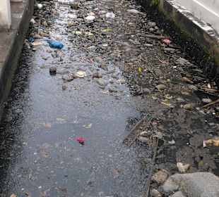 Mit Green Mango das ursprüngliche BKK entdecken