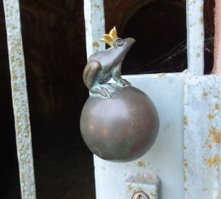 Schloss Heidelberg und Umgebung