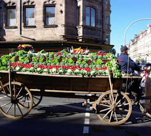 Landjgd.Knoblauchsland  4 Festwagen