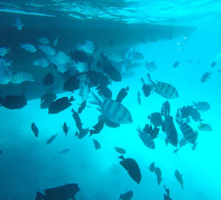 Schnorcheln Hurghada