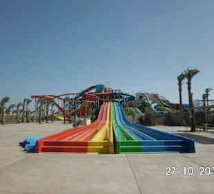 Muss man gesehen haben!