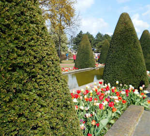 Blumenpracht im Keukenhof