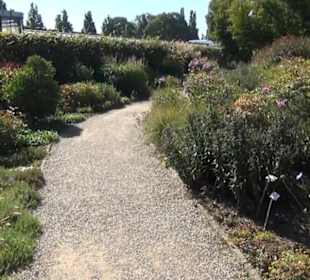 Schmuckstauden - Berggarten