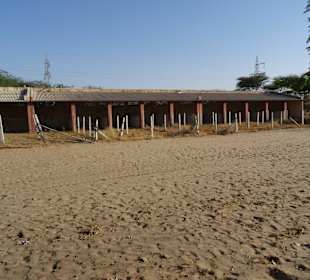 Alles verkommt in dieser Kamelfarm