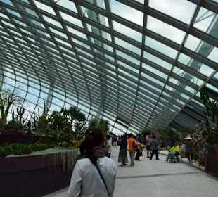Gardens by the Bay