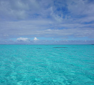 Schnorcheln Bora Bora