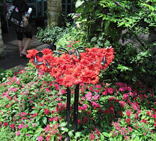 Butterfly-Garden im Terminal 3