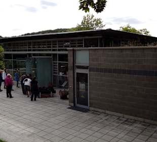 Burgruine Lichtenberg Thallichtenberg