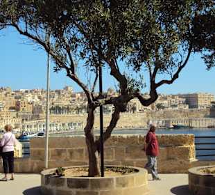 Blick auf Valetta