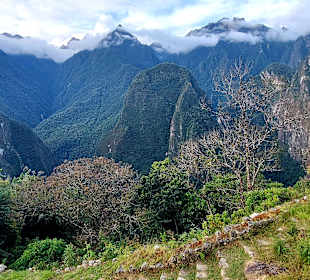 Machu Picchu
