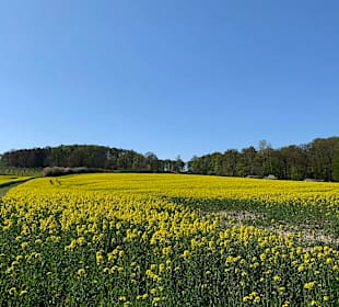 Wandern Horn-Bad Meinberg