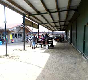 Eselpark-Impressionen