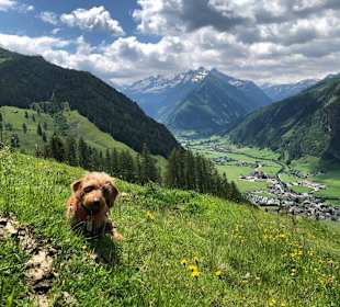 Wandern Rauris