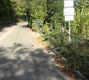 Der Bussen - heiliger Berg Oberschwabens Offingen