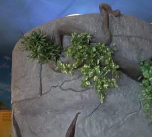  Lego X-Treme - Legoland Atlantis by SEA LIFE