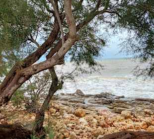 Strandpromenade S'Illiot / S'Illot