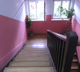 SchweineMuseum