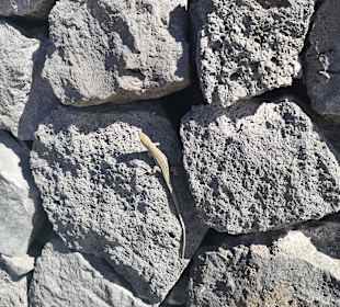 Strandpromenade San Telmo