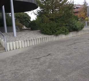 Neuapostolische Kirche