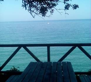 Taras widokowy przed wejsciem do parku