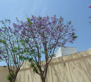 Altstadt rund um den Turm