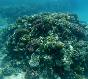 Riff des Nachbarhotel