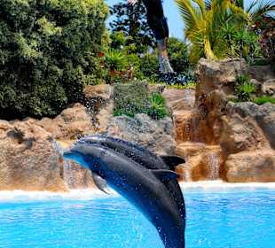 Delphin-Show im Loro Parque