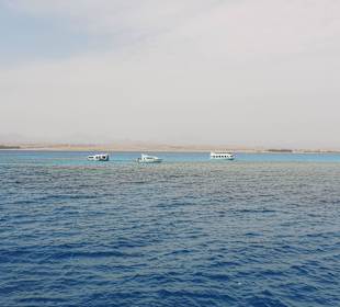 Schöne Riffe in Hotelnähe