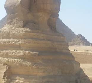 Die Sphinx